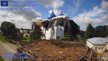 2021_08_18_18_05_20_Gniazdo_Bocianie_Telewizja_Sokółka_NA_ŻYWO_IP_Camera_Stork_s_nest_LIVE_.png