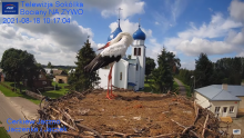 2021_08_18_18_06_01_Gniazdo_Bocianie_Telewizja_Sokółka_NA_ŻYWO_IP_Camera_Stork_s_nest_LIVE_.png