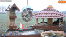 2021_12_29_09_47_17_9_LIVE_Bird_Feeder_Cams_From_Around_the_World_2022_Bird_Watching_HQ_Mozill.png