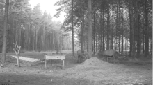 2022_01_26_07_15_23_Hirvekaamera_Saaremaal_Deer_camera_in_Saaremaa_Estonia_Cervus_elaphus_YouT.png