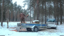 2022_02_02_14_32_02_Hirvekaamera_Saaremaal_Deer_camera_in_Saaremaa_Estonia_Cervus_elaphus_YouT.png
