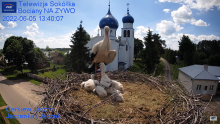 2022_06_05_18_40_49_Gniazdo_Bocianie_Telewizja_Sokółka_NA_ŻYWO_IP_Camera_Stork_s_nest_LIVE_.png