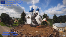 2021_08_18_18_07_34_Gniazdo_Bocianie_Telewizja_Sokółka_NA_ŻYWO_IP_Camera_Stork_s_nest_LIVE_.png