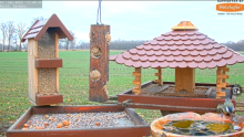 2022_01_01_11_50_15_9_LIVE_Bird_Feeder_Cams_From_Around_the_World_2022_Bird_Watching_HQ_Mozill.png