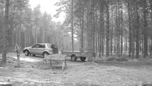 2022_01_19_11_09_19_Hirvekaamera_Saaremaal_Deer_camera_in_Saaremaa_Estonia_Cervus_elaphus_YouT.png